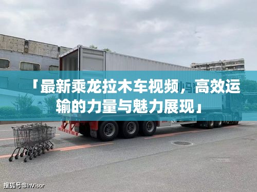 「最新乘龙拉木车视频,高效运输的力量与魅力展现」