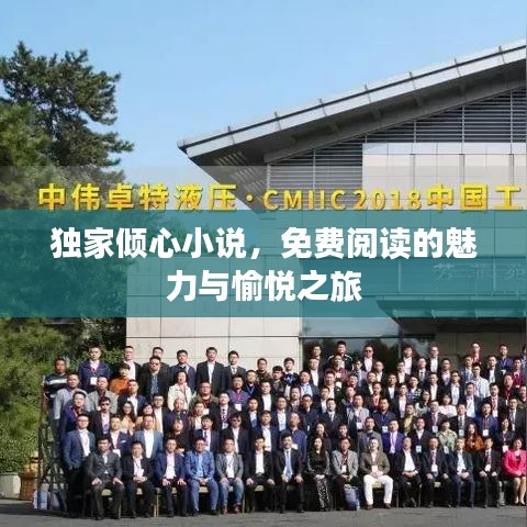独家倾心小说,免费阅读的魅力与愉悦之旅