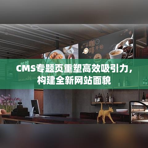 CMS专题页重塑高效吸引力,构建全新网站面貌