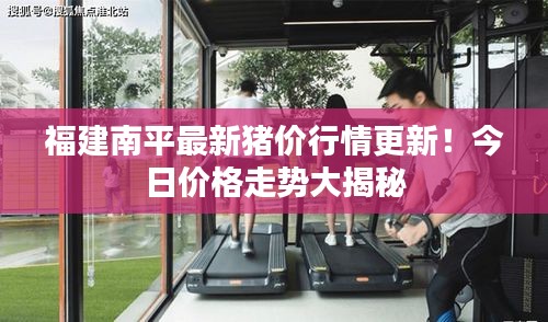 福建南平最新猪价行情更新!今日价格走势大揭秘
