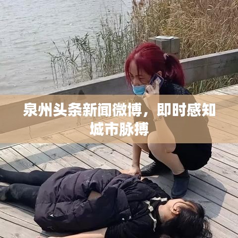泉州头条新闻微博,即时感知城市脉搏