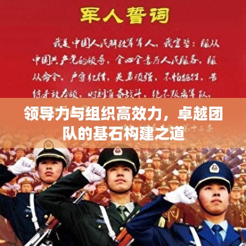 领导力与组织高效力,卓越团队的基石构建之道