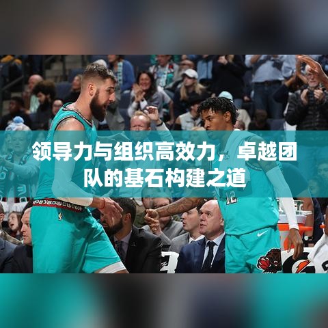 领导力与组织高效力,卓越团队的基石构建之道