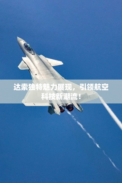 达索独特魅力展现,引领航空科技新潮流!
