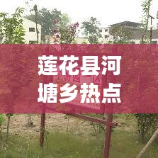 莲花县河塘乡热点新闻速递