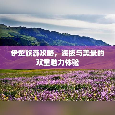 伊犁旅游攻略,海拔与美景的双重魅力体验