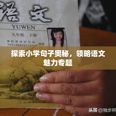 探索小学句子奥秘,领略语文魅力专题