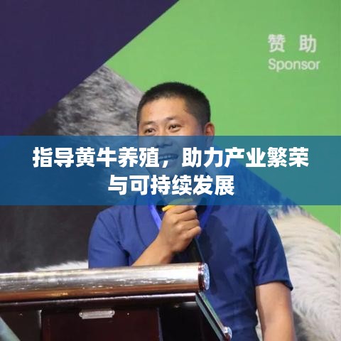 指导黄牛养殖,助力产业繁荣与可持续发展