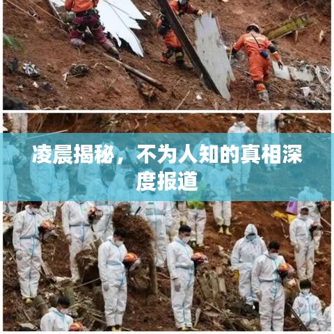 凌晨揭秘,不为人知的真相深度报道