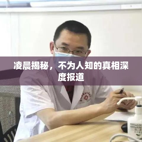 凌晨揭秘,不为人知的真相深度报道
