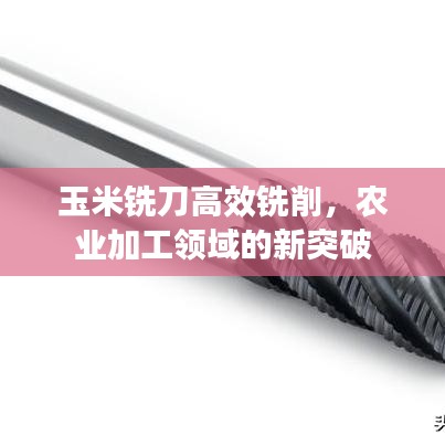 玉米铣刀高效铣削,农业加工领域的新突破