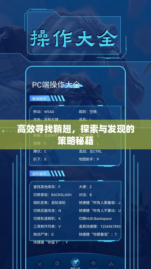 高效寻找鞘翅,探索与发现的策略秘籍