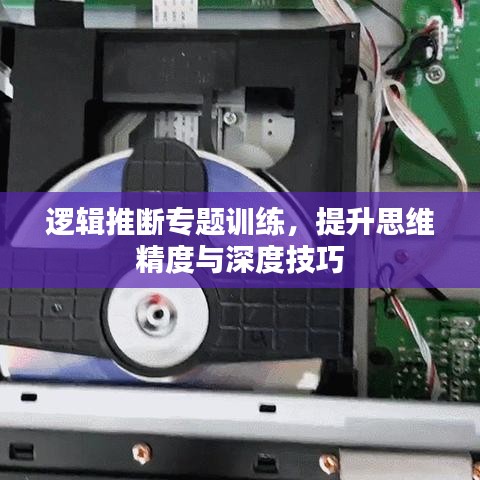 逻辑推断专题训练,提升思维精度与深度技巧