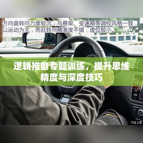 逻辑推断专题训练,提升思维精度与深度技巧