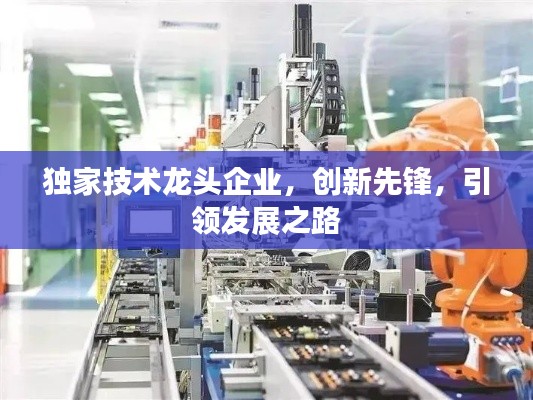 独家技术龙头企业,创新先锋,引领发展之路