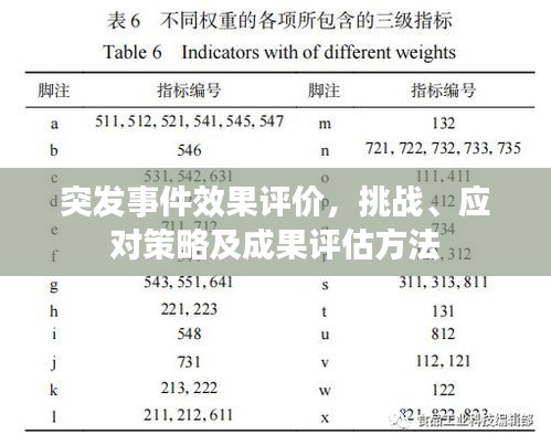 突发事件效果评价,挑战、应对策略及成果评估方法
