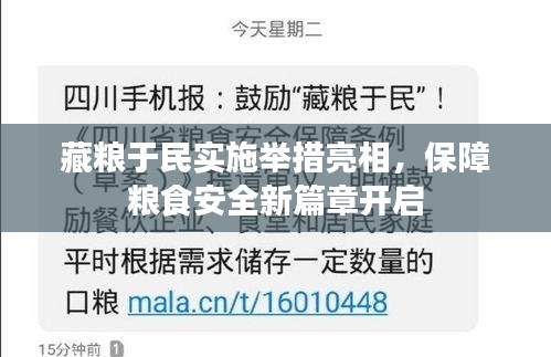 藏粮于民实施举措亮相,保障粮食安全新篇章开启