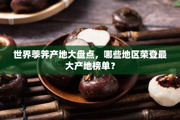 世界荸荠产地大盘点,哪些地区荣登最大产地榜单?