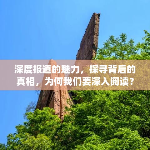 深度报道的魅力,探寻背后的真相,为何我们要深入阅读?