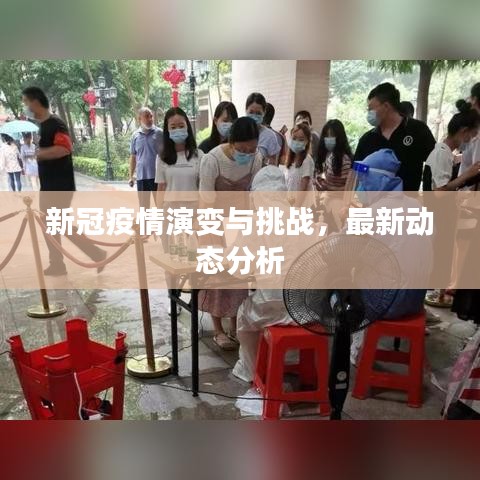 新冠疫情演变与挑战,最新动态分析