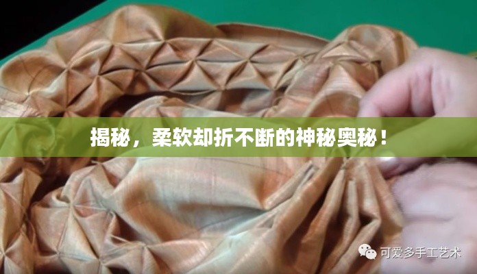 揭秘,柔软却折不断的神秘奥秘!