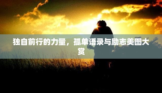 独自前行的力量,孤单语录与励志美图大赏