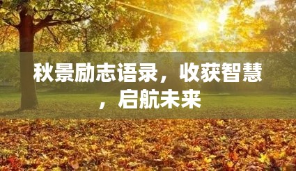 秋景励志语录,收获智慧,启航未来
