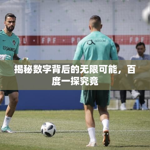 揭秘数字背后的无限可能,百度一探究竟