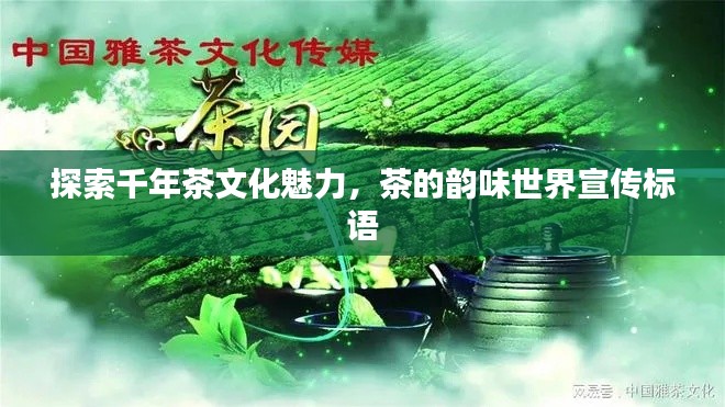 探索千年茶文化魅力,茶的韵味世界宣传标语