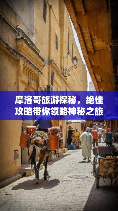 摩洛哥旅游探秘,绝佳攻略带你领略神秘之旅的魅力!