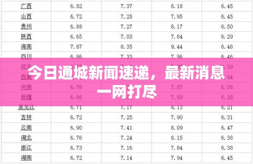 今日通城新闻速递,最新消息一网打尽