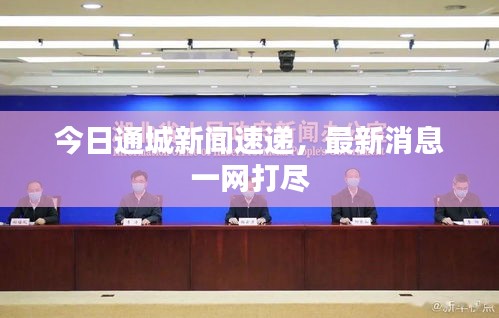 今日通城新闻速递,最新消息一网打尽