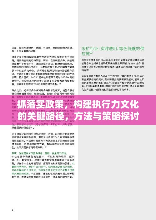 抓落实政策,构建执行力文化的关键路径,方法与策略探讨