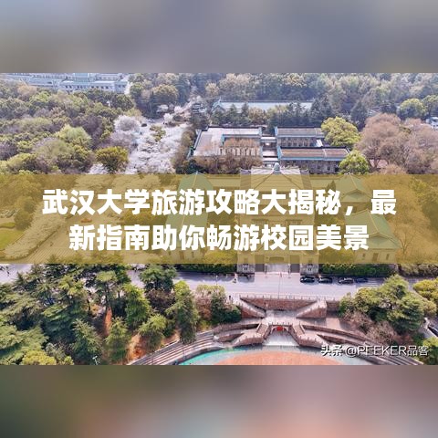 武汉大学旅游攻略大揭秘,最新指南助你畅游校园美景