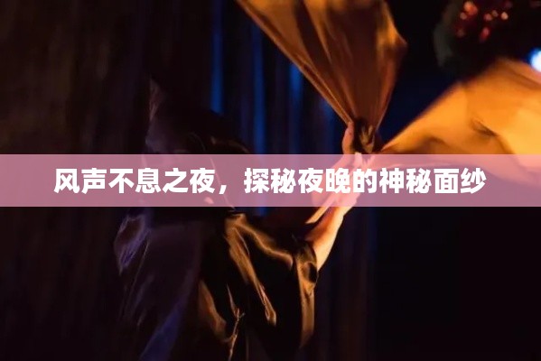风声不息之夜,探秘夜晚的神秘面纱