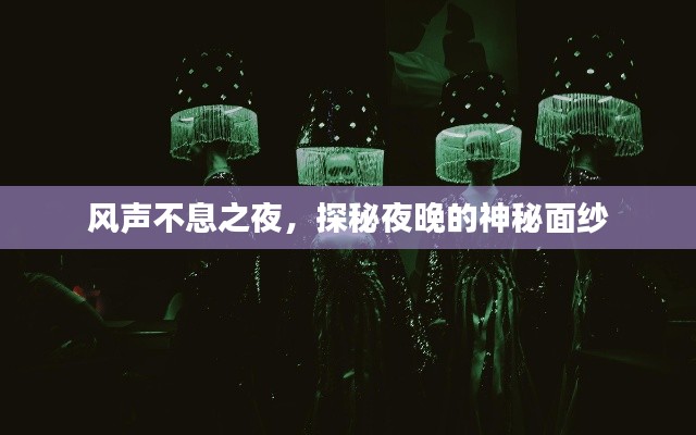 风声不息之夜,探秘夜晚的神秘面纱