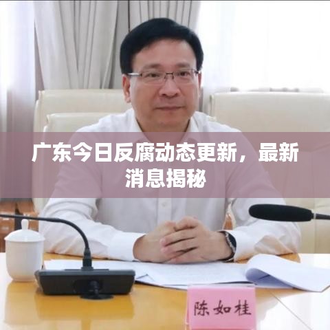广东今日反腐动态更新,最新消息揭秘