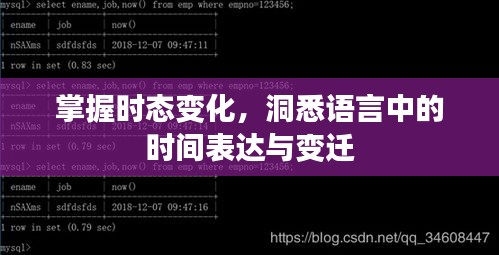 掌握时态变化,洞悉语言中的时间表达与变迁
