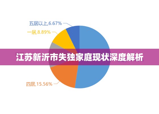 江苏新沂市失独家庭现状深度解析