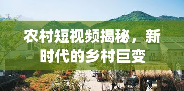 农村短视频揭秘,新时代的乡村巨变