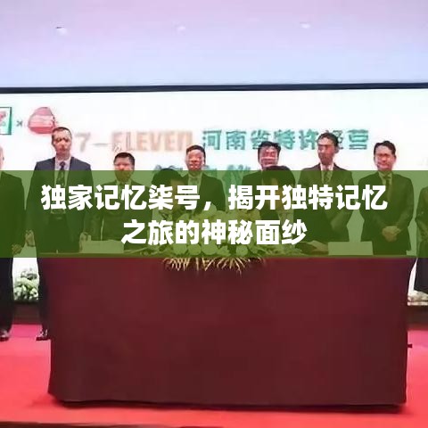 独家记忆柒号,揭开独特记忆之旅的神秘面纱