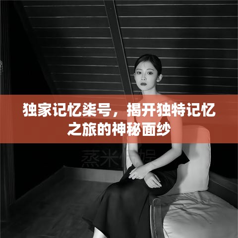 独家记忆柒号,揭开独特记忆之旅的神秘面纱