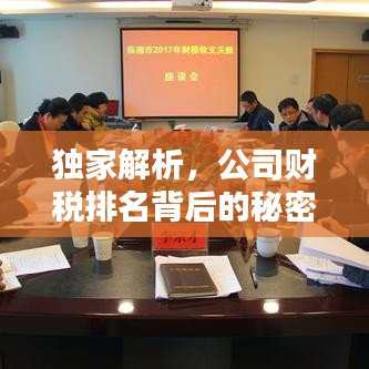 独家解析,公司财税排名背后的秘密与策略!