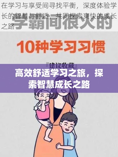 高效舒适学习之旅,探索智慧成长之路