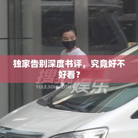独家告别深度书评,究竟好不好看?