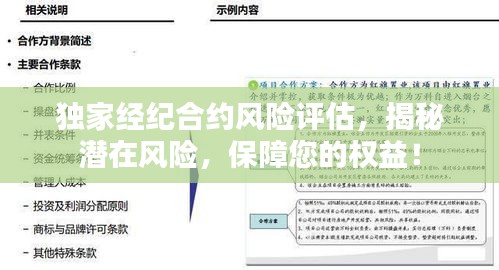 独家经纪合约风险评估,揭秘潜在风险,保障您的权益!
