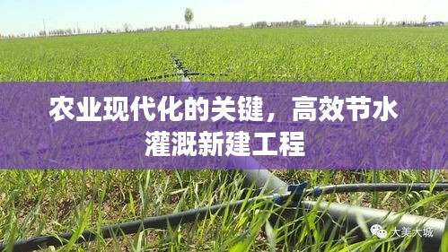 农业现代化的关键,高效节水灌溉新建工程