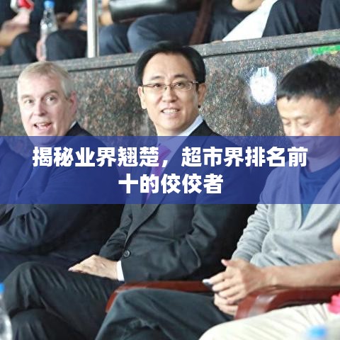 揭秘业界翘楚,超市界排名前十的佼佼者