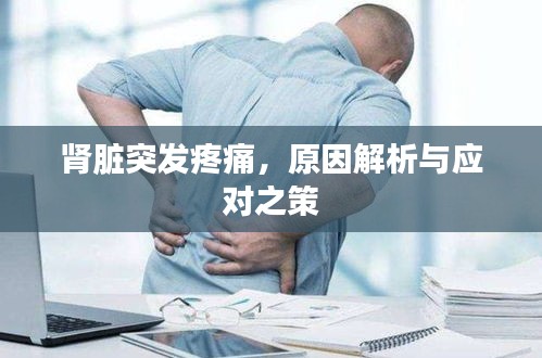 肾脏突发疼痛,原因解析与应对之策