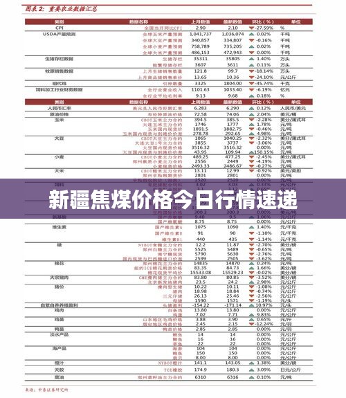 新疆焦煤价格今日行情速递